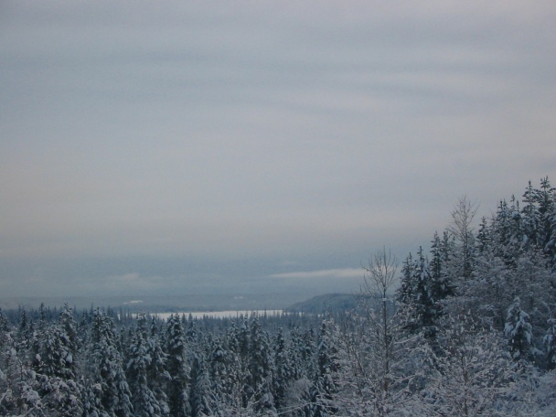 608x456 pixels (79K)