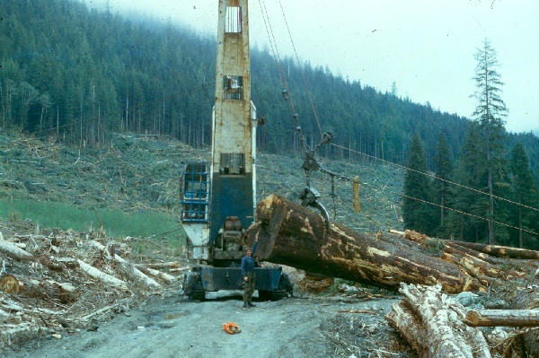 600x399 pixels (132K)