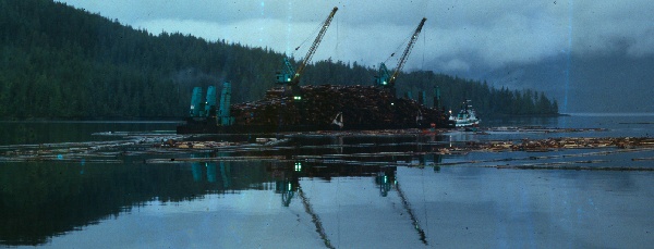 600x229 pixels (55K)