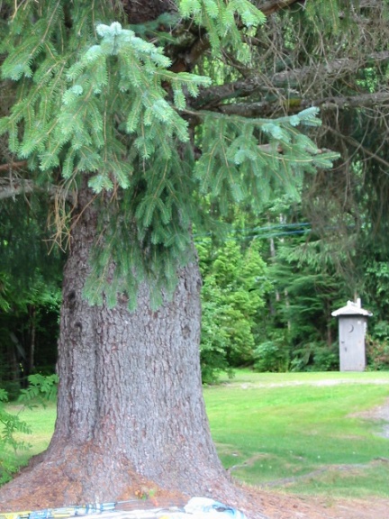 432x576 pixels (125K)