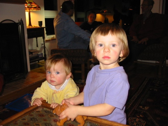 576x432 pixels (71K)