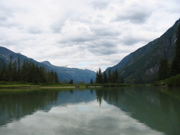 608x456 pixels (43K)