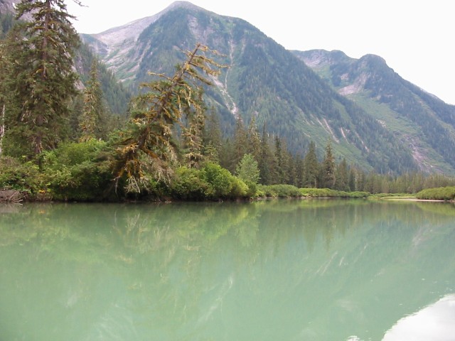 640x480 pixels (74K)