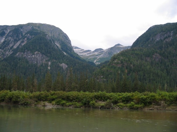 608x456 pixels (55K)