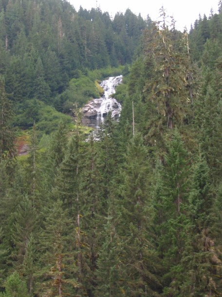456x608 pixels (83K)