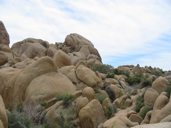 528x389 pixels (68K)